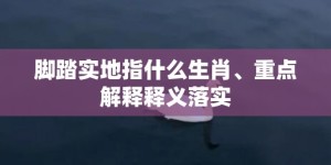 脚踏实地指什么生肖、重点解释释义落实