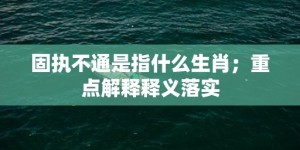 固执不通是指什么生肖；重点解释释义落实