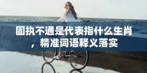 固执不通是代表指什么生肖，精准词语释义落实