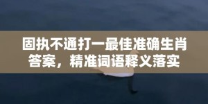 固执不通打一最佳准确生肖答案，精准词语释义落实