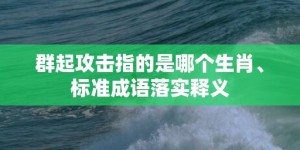 群起攻击指的是哪个生肖、标准成语落实释义