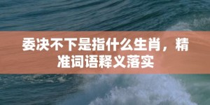 委决不下是指什么生肖，精准词语释义落实