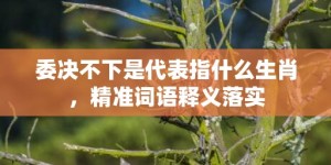 委决不下是代表指什么生肖，精准词语释义落实