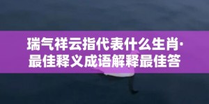 瑞气祥云指代表什么生肖·最佳释义成语解释最佳答