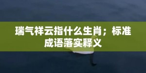 瑞气祥云指什么生肖；标准成语落实释义