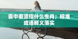 囊中羞涩指什么生肖；标准成语释义落实