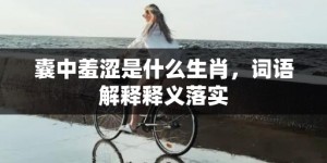 囊中羞涩是什么生肖，词语解释释义落实