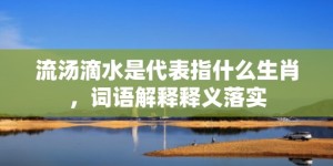 流汤滴水是代表指什么生肖，词语解释释义落实