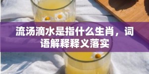 流汤滴水是指什么生肖，词语解释释义落实