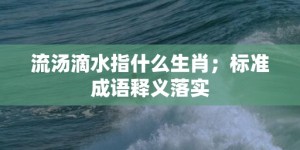 流汤滴水指什么生肖；标准成语释义落实