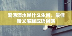 流汤滴水是什么生肖、最佳释义解释成语揭晓