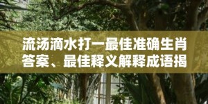 流汤滴水打一最佳准确生肖答案、最佳释义解释成语揭晓