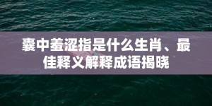 囊中羞涩指是什么生肖、最佳释义解释成语揭晓