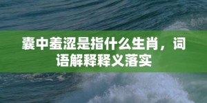 囊中羞涩是指什么生肖，词语解释释义落实