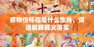 感物伤怀指是什么生肖，词语解释释义落实