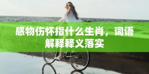 感物伤怀指什么生肖，词语解释释义落实