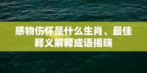 感物伤怀是什么生肖、最佳释义解释成语揭晓