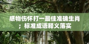 感物伤怀打一最佳准确生肖；标准成语释义落实