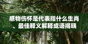 感物伤怀是代表指什么生肖、最佳释义解释成语揭晓