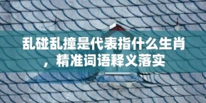 乱碰乱撞是代表指什么生肖，精准词语释义落实