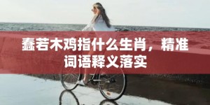 蠢若木鸡指什么生肖，精准词语释义落实