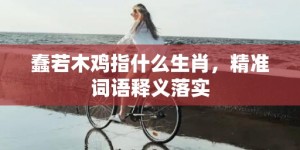 蠢若木鸡指什么生肖，精准词语释义落实