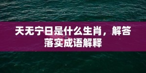 天无宁日是什么生肖，解答落实成语解释