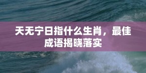 天无宁日指什么生肖，最佳成语揭晓落实