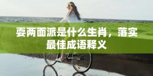 耍两面派是什么生肖，落实最佳成语释义