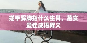 搓手跺脚指什么生肖，落实最佳成语释义