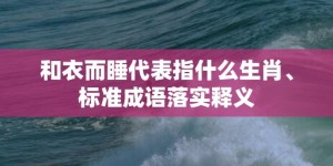 和衣而睡代表指什么生肖、标准成语落实释义