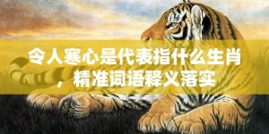 令人寒心是代表指什么生肖，精准词语释义落实