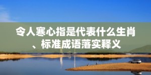 令人寒心指是代表什么生肖、标准成语落实释义