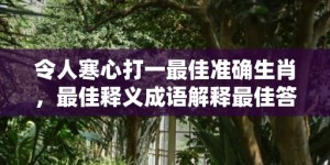 令人寒心打一最佳准确生肖，最佳释义成语解释最佳答