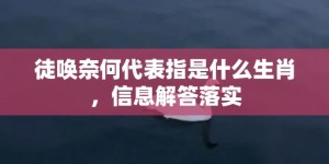 徒唤奈何代表指是什么生肖，信息解答落实