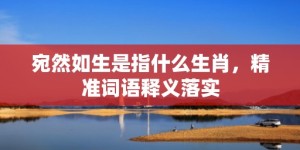 宛然如生是指什么生肖，精准词语释义落实