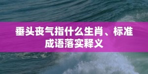 垂头丧气指什么生肖、标准成语落实释义