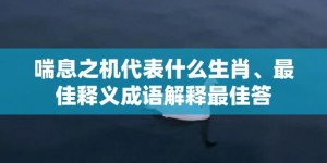 喘息之机代表什么生肖、最佳释义成语解释最佳答