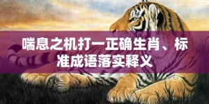 喘息之机打一正确生肖、标准成语落实释义