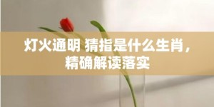 灯火通明 猜指是什么生肖，精确解读落实