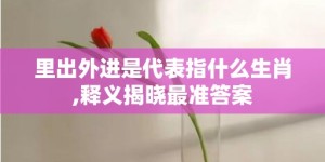 里出外进是代表指什么生肖,释义揭晓最准答案