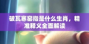 破瓦寒窑指是什么生肖，精准释义全面解读
