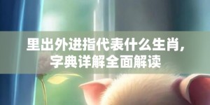 里出外进指代表什么生肖,字典详解全面解读