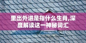 里出外进是指什么生肖,深度解读这一神秘词汇