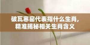 破瓦寒窑代表指什么生肖,精准揭秘相关生肖含义