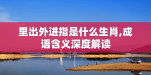 里出外进指是什么生肖,成语含义深度解读