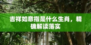 吉祥如意指是什么生肖，精确解读落实