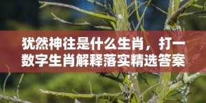 犹然神往是什么生肖，打一数字生肖解释落实精选答案