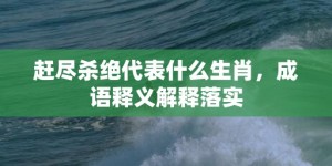 赶尽杀绝代表什么生肖，成语释义解释落实