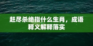 赶尽杀绝指什么生肖，成语释义解释落实